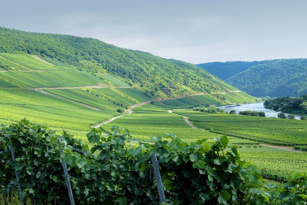 Ferienwohnung Weber Zell an der Mosel Luaran gambar